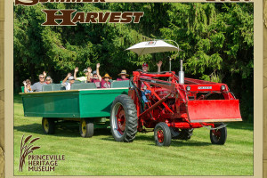 Summer Harvest 2020